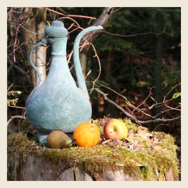Kupferkännchen im Schwarzwald