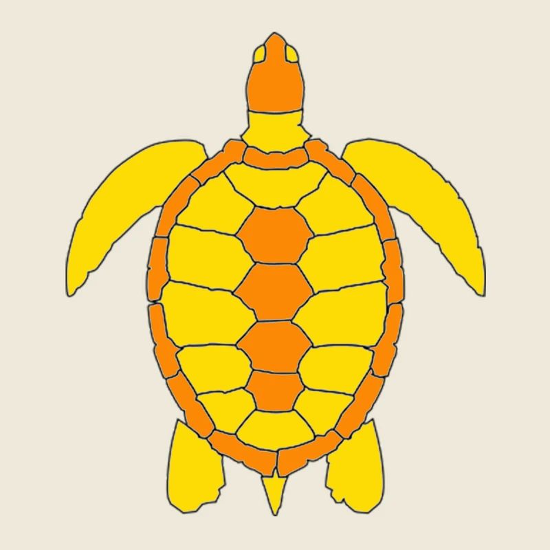 TORTUE