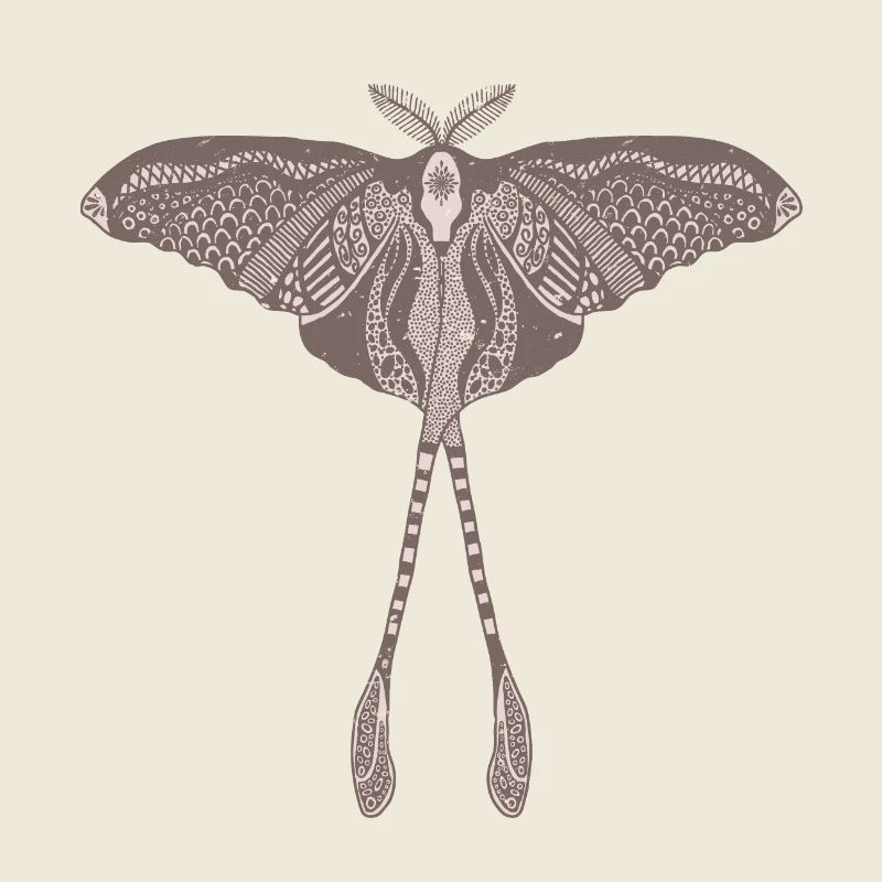 Papillon de lune chinois - Luna Moon Moth