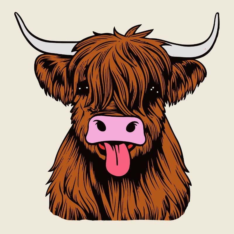Highland bull