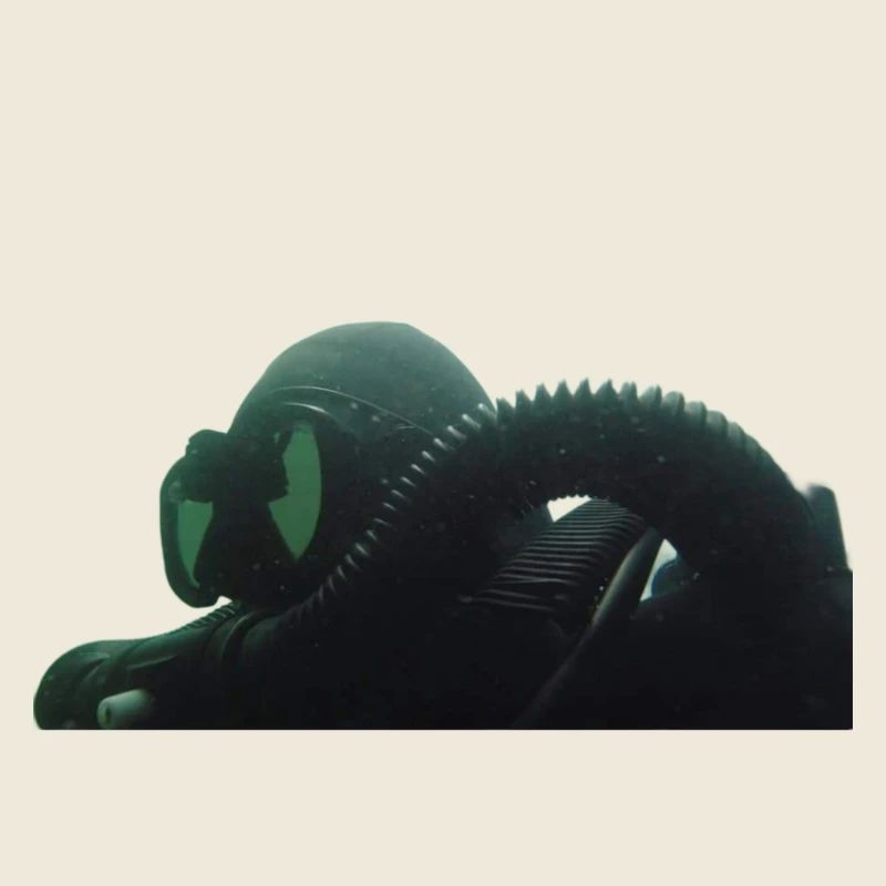 Diver