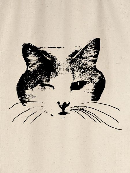 Kitty wink