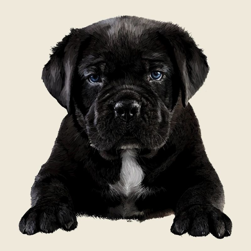 Puppy