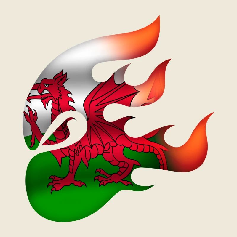 Flagge von Wales - Walisisch - Ninja