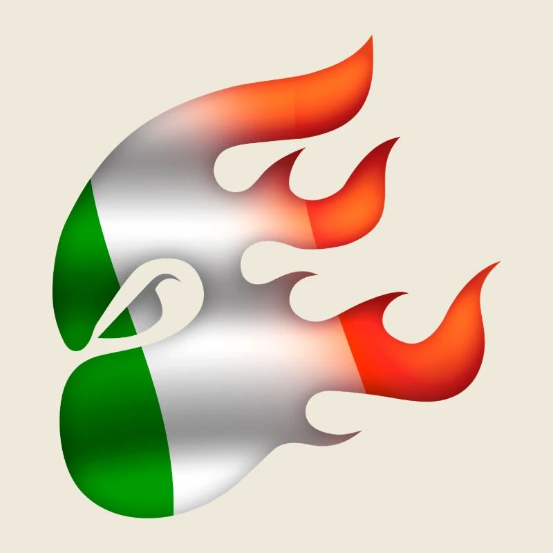 Drapeau de l’Irlande - Irlande - Ninja