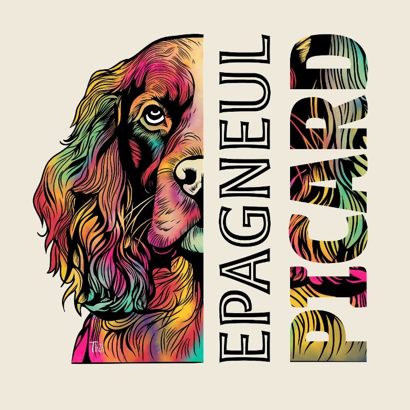Epagneul coloré Picard