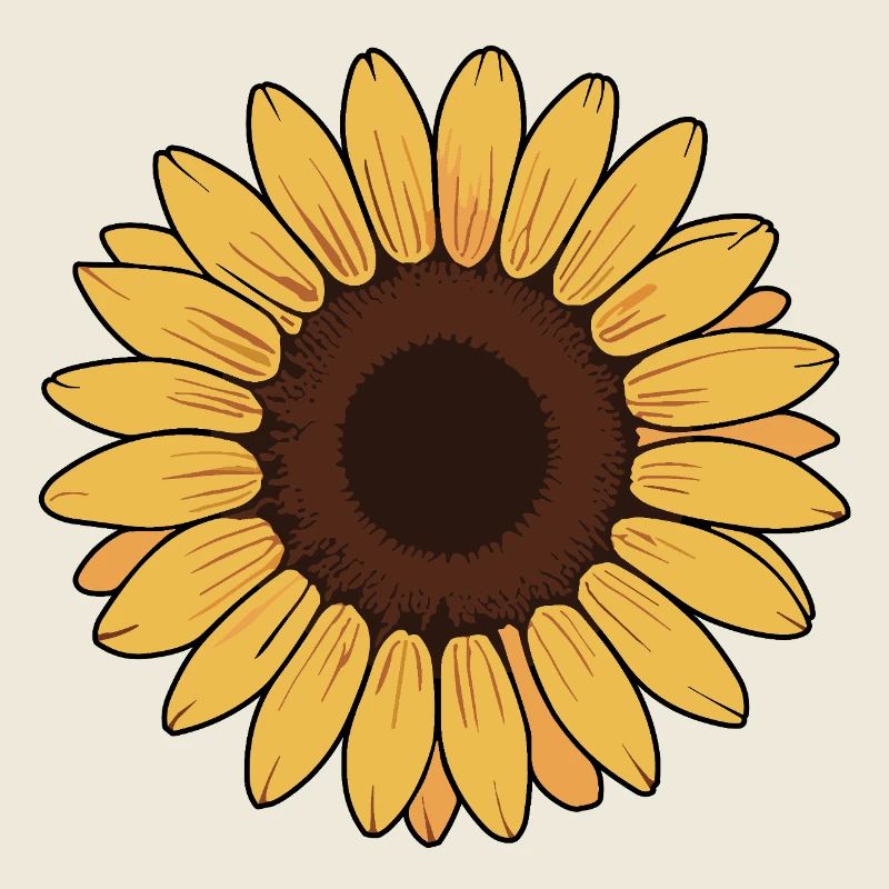 Sonnenblume illustration vektor