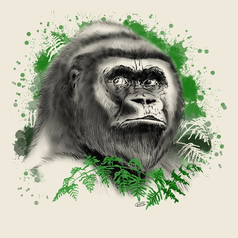 Gorilla