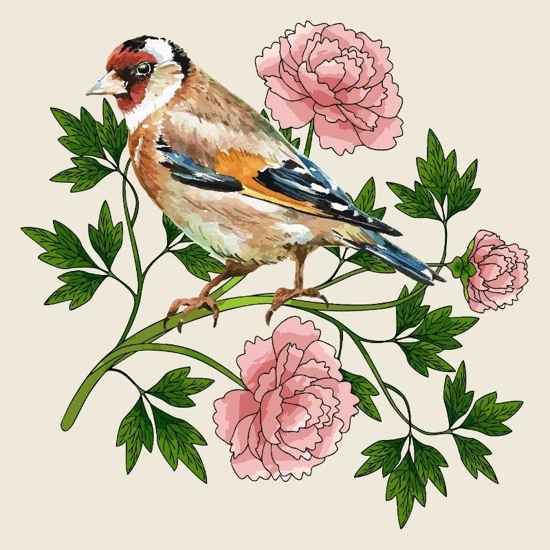 Colorful bird