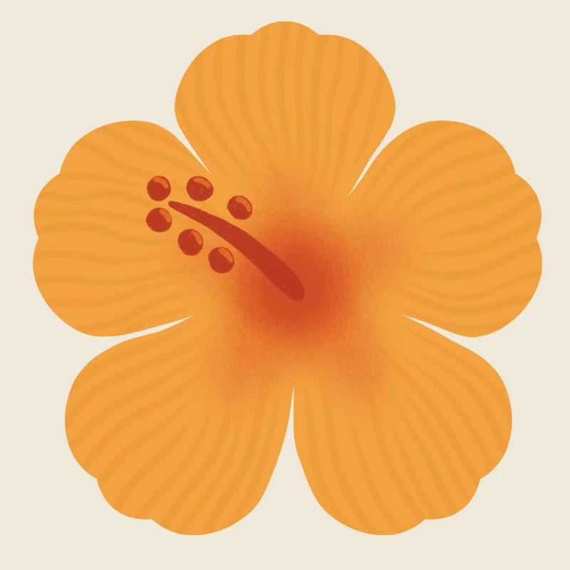 Orange Hibiscus Bloom