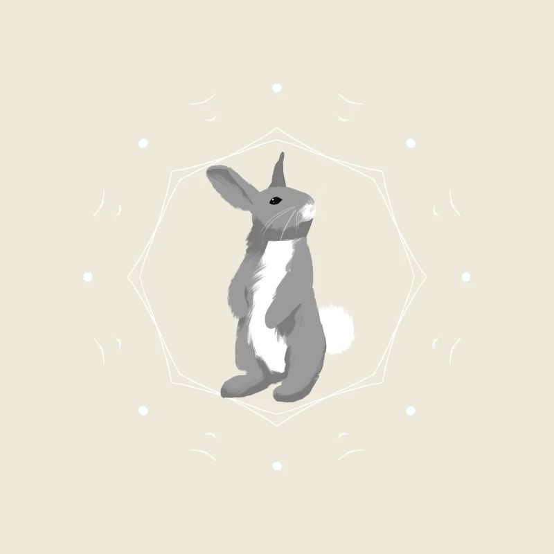 Rabbit in geometry ring
