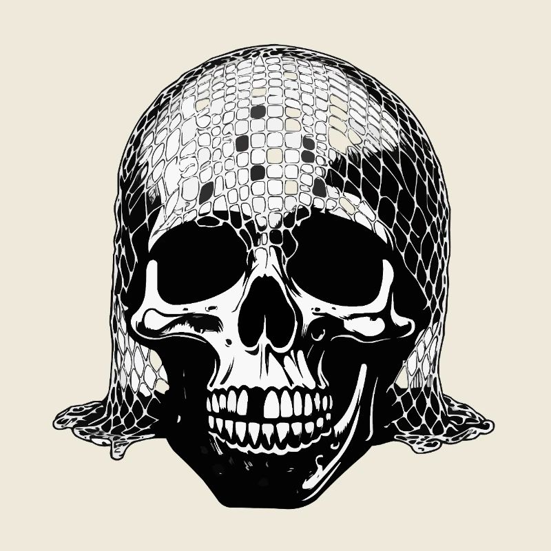 Skull with net veil