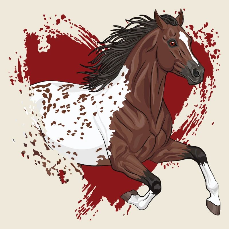 Ein Appaloosa-Pferd mit rotem Herzen