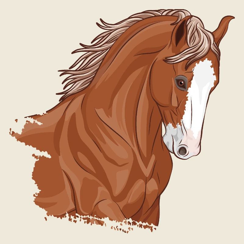 Der Kopf eines Marwari-Pferdes