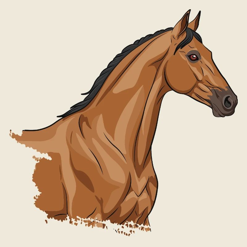 La tête d'un cheval Akhal Téké