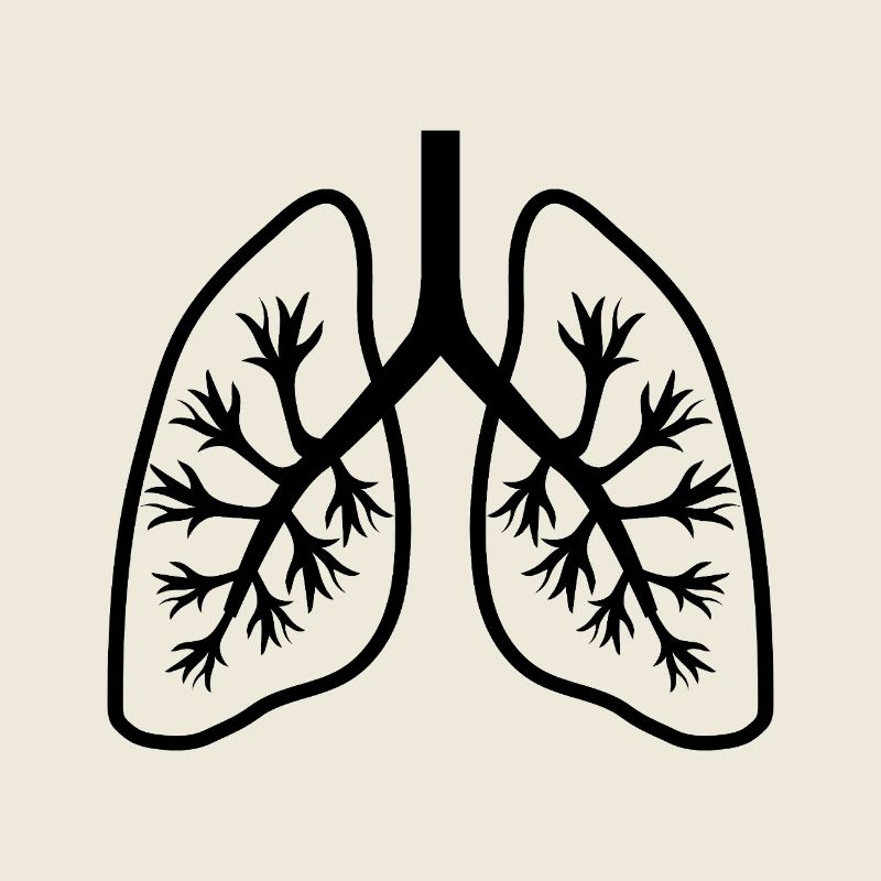 Lungs
