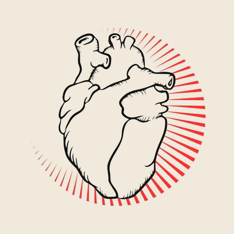 Anatomisches Herz mit rotem Strahlenkranz