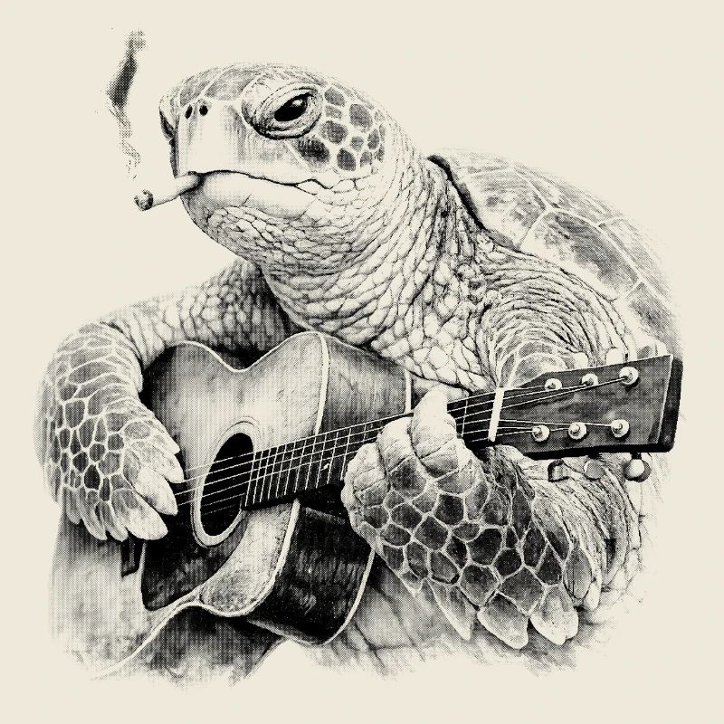 Tortue guitariste blues