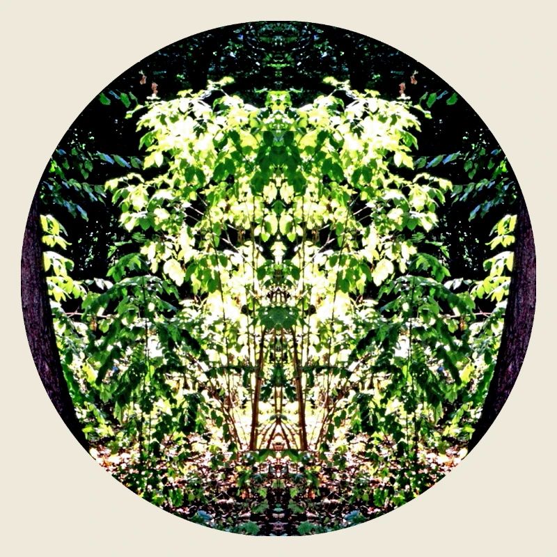 Nature Mandala Leaf Face