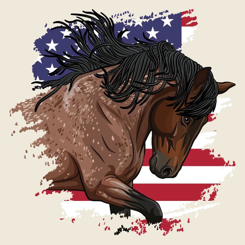 Un cheval Barbe Espagnol et le drapeau des USA