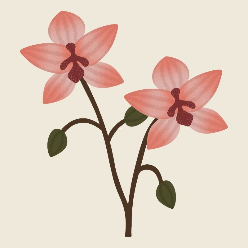 Fleur d’orchidée pastel