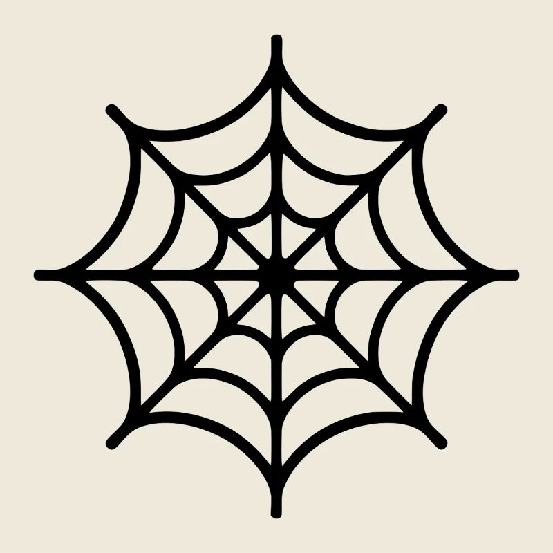 Spider Web Spider
