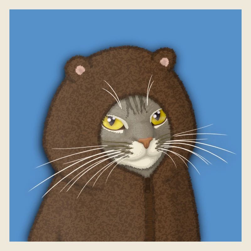 Portrait du Chat à Capuche d’Ours