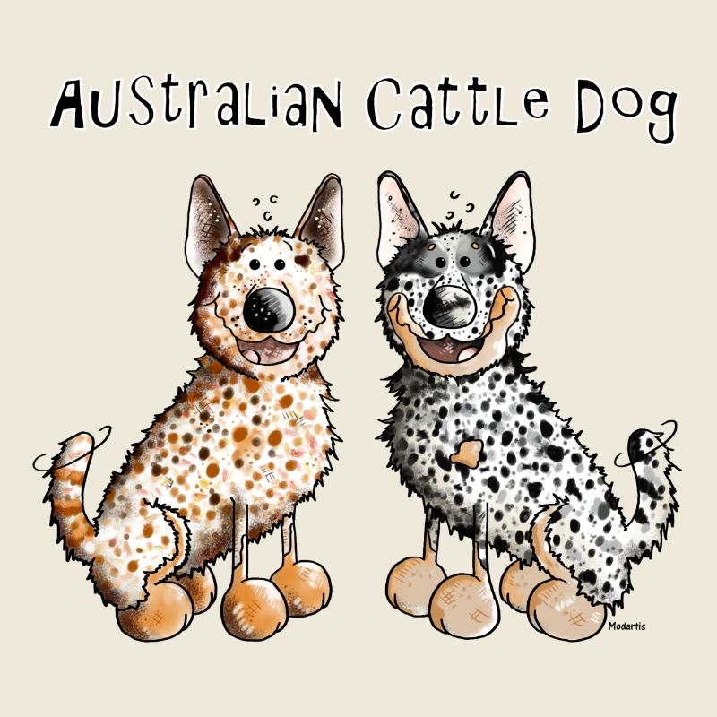 Zwei Australian Cattle Dogs - Hund