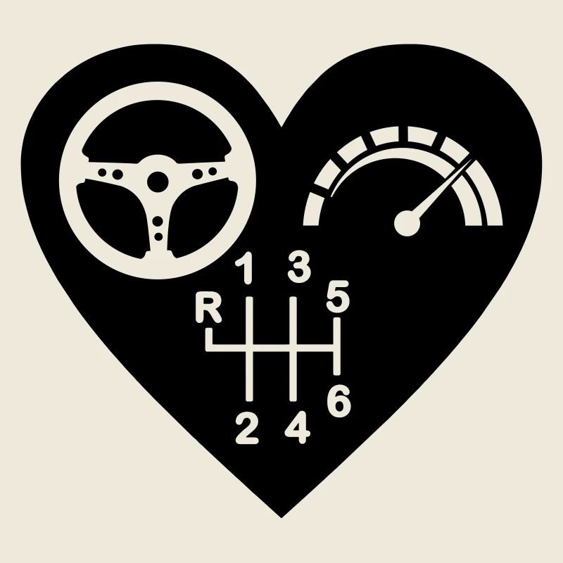 Gearbox 6 speed heart