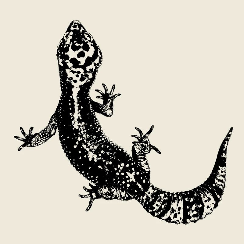 Leopardgecko / Gecko