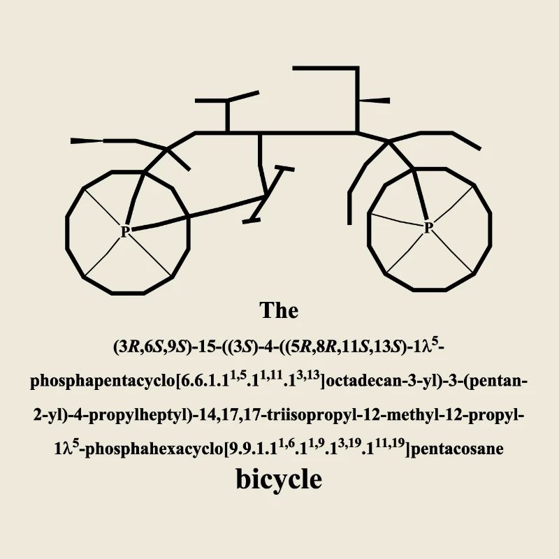 Fahrrad - bicycle