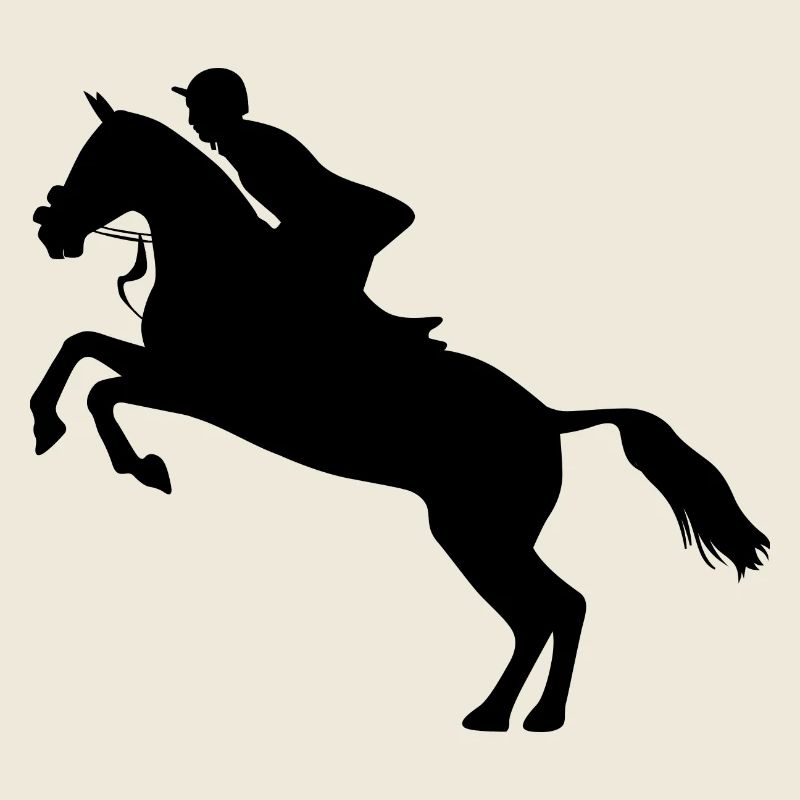 Equitation Riding Equestrian Equestrian Equestrian sport