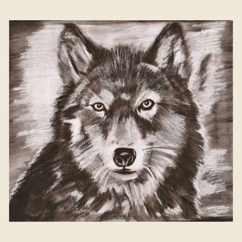Wolf's Portrait – Powerful Wolf Sketch