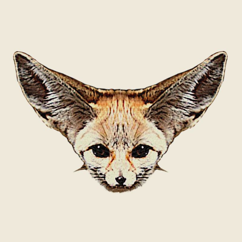 fuchskleidung mädchen, Wüstenfuchs gesicht