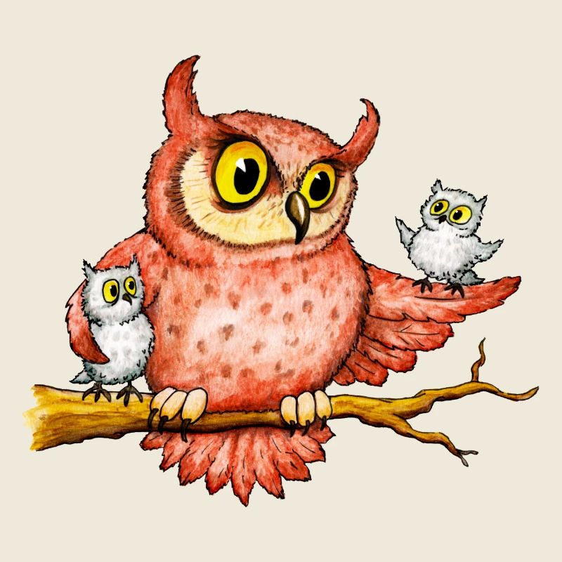 Owls