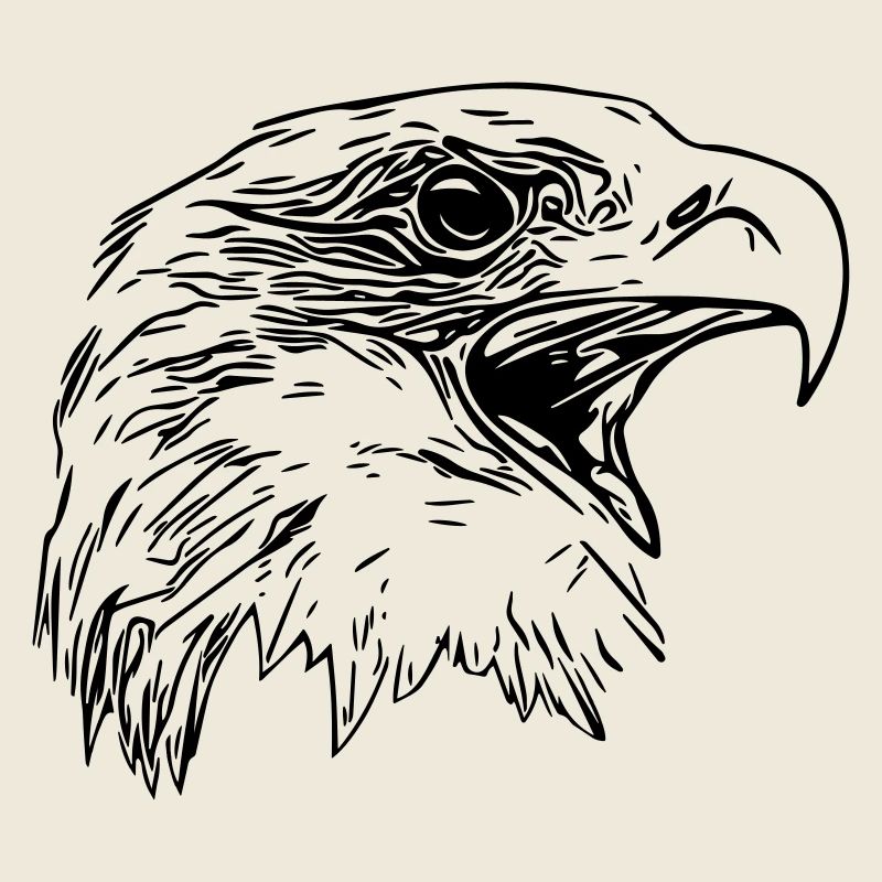 Adler Kopf - Königlicher Vector Greifvogel