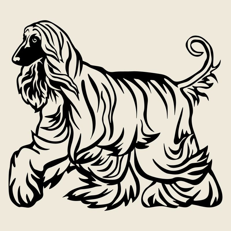 Afghan