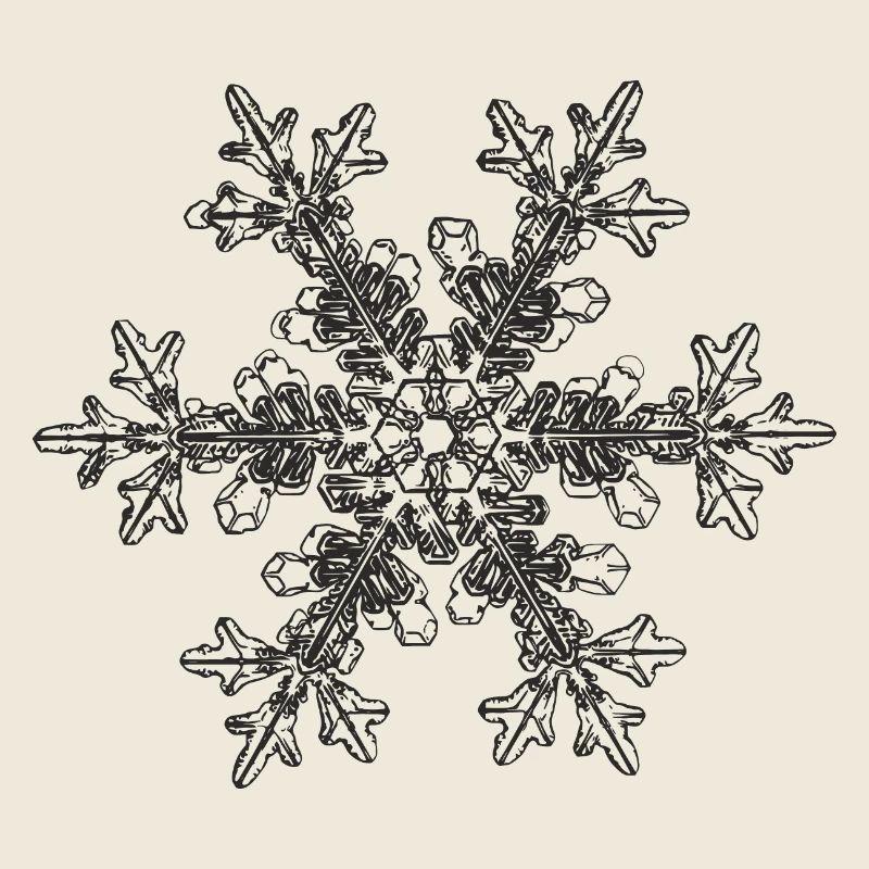 snowflake 7 black