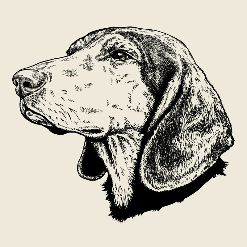 Greek Hound 01s Hellenikos Ichnilatis