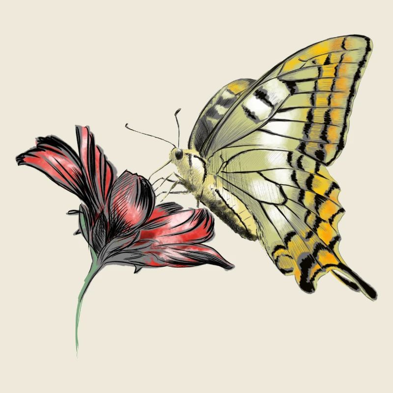 Schmetterling an Blüte