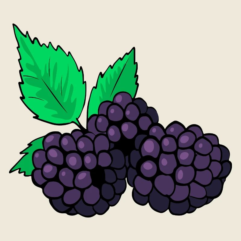 Brombeeren