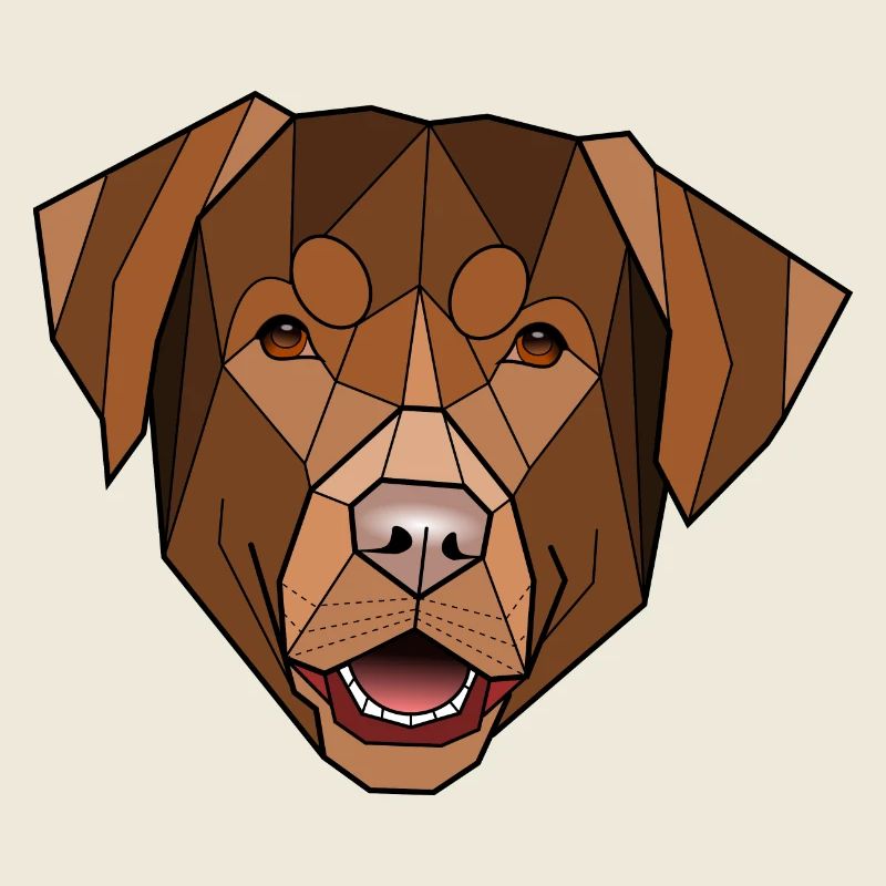 Labrador chocolat - Folken