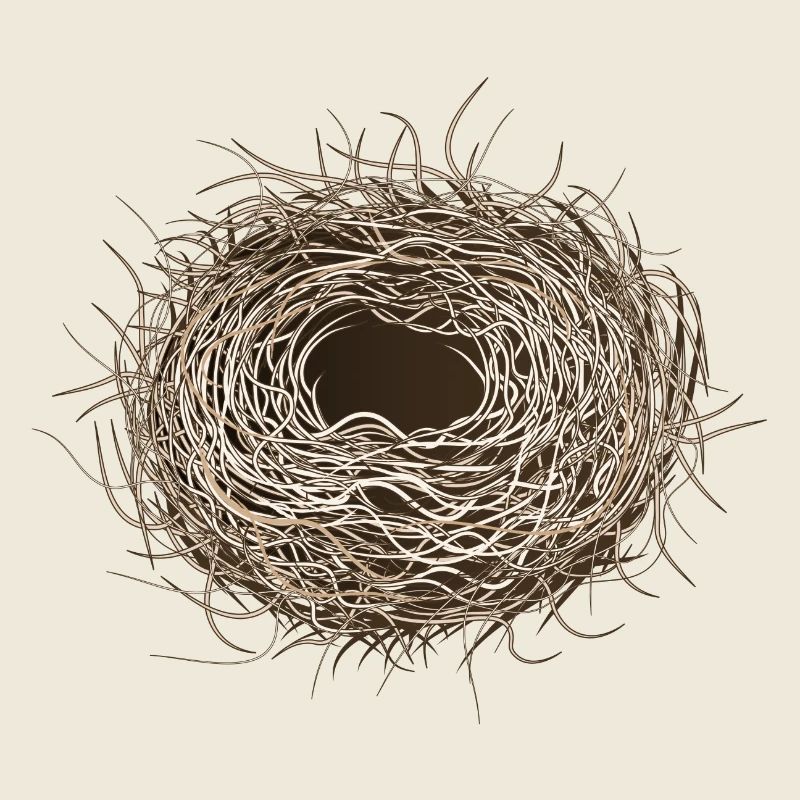 leeres Vogelnest oder Osternest zum Frühling