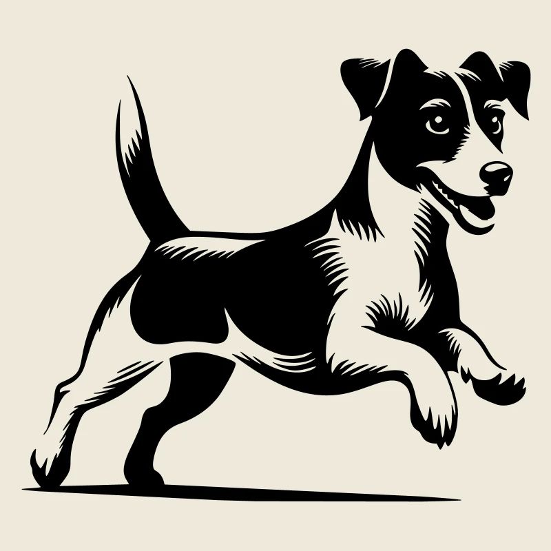 Jack Russell Terrier