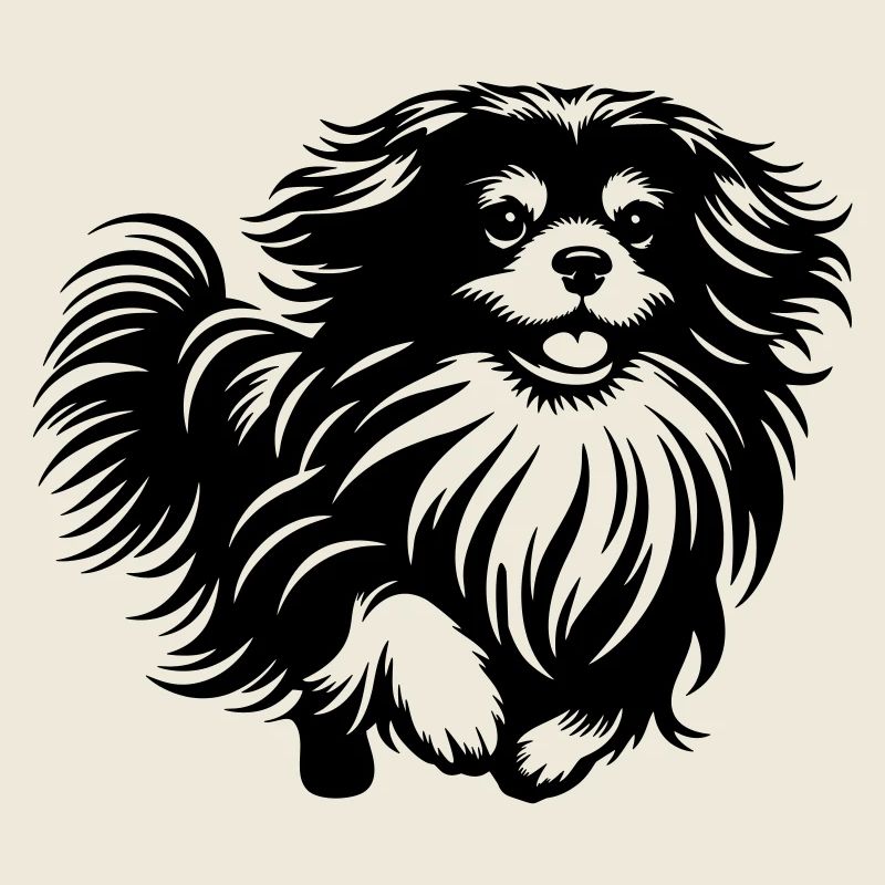 Tibetan Spaniel