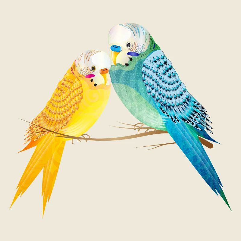 Deux perruches sur une branche aux couleurs pastel