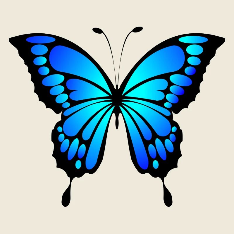 papillon