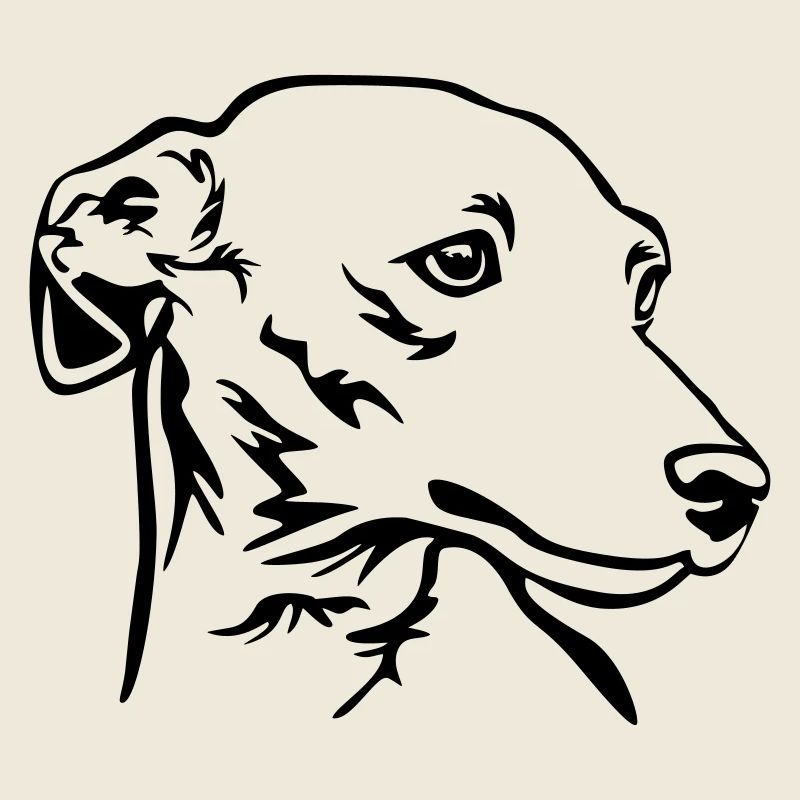 Italian greyhound head