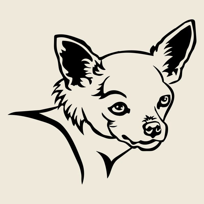 Chihuahua Kopf