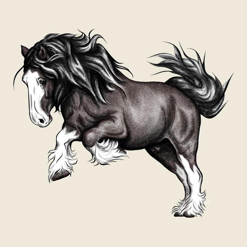 Puissance de cheval